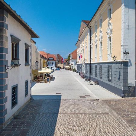 Vila Radolca Apartments & Rooms Radovljica Kültér fotó